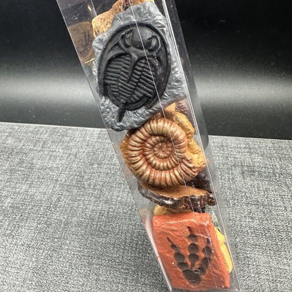 Dinosaur Fossils Safari Ltd Ancient TOOB w/ 10 Educational Figurines for Kids - Picture 3 of 12